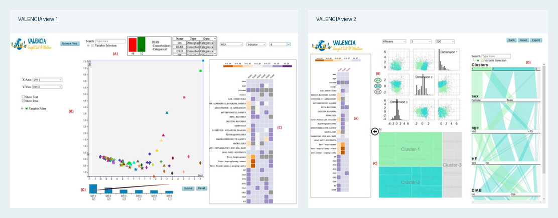 VALENCIA visual analytics interface